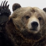 Евгений Примаков: «Русский медведь должен улыбаться миру»