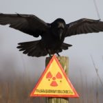 Игорь Иванов﻿: Ядерная катастрофа: миф или реальность?