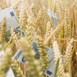 Сергей Алексашенко: «Игры с пошлиной на зерно не имеют никакого отношения к доходам бюджета»